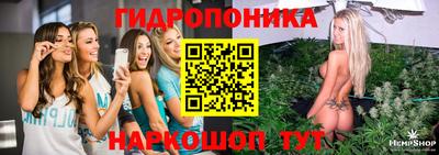 винт Тара