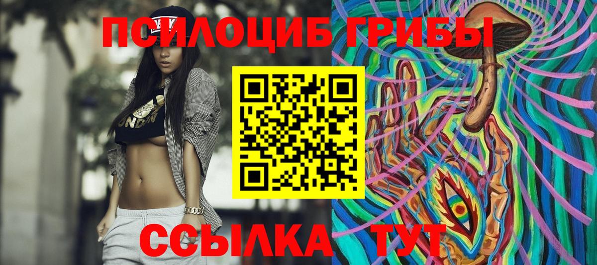 Галлюциногенные грибы Magic Shrooms  Вход с VPN  Нижний Новгород  купить наркоту  Псилоцибиновые грибы Psilocybine cubensis 